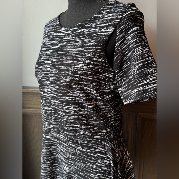 Derek Heart Black & White Short Sleeve Fit-and-Flare Dress Large - Picture 2 of 7